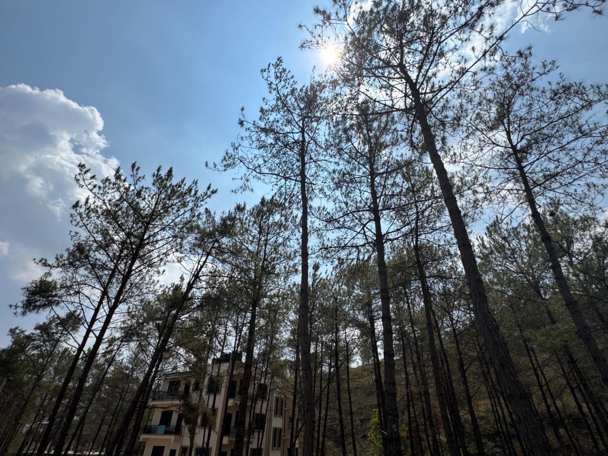 Xtsy Travellers Hostel Šillong Exteriér fotografie